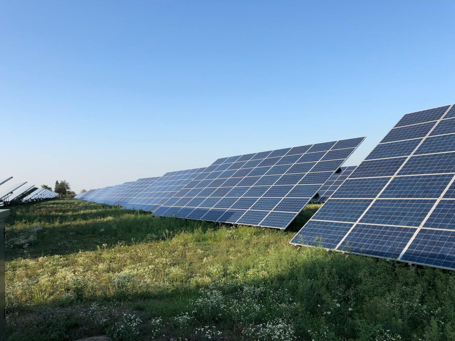 Paneles solares en campos con flores. Energía , electrícidad.