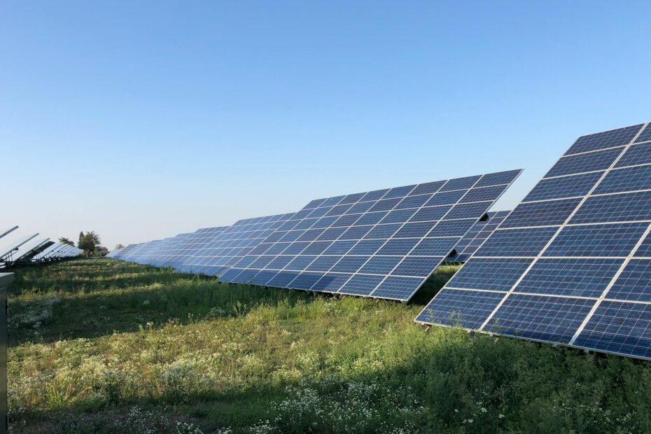 CRECIMIENTO DE LAS ENERGÍAS RENOVABLES EN CHILE. Paneles solares en campos con flores. Energía , electricidad.