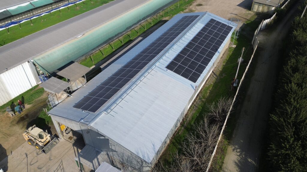 Paneles solares en la granja de Los Aromos.